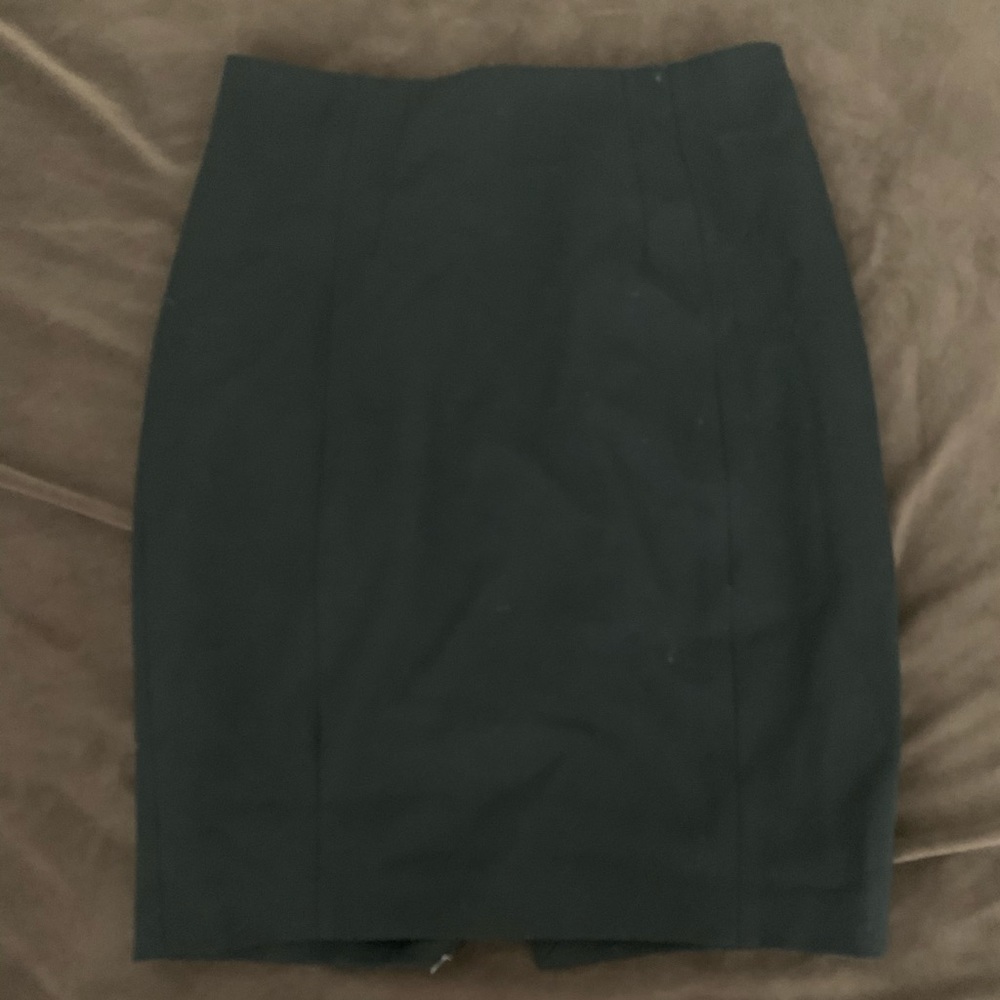 Express Pencil Skirt